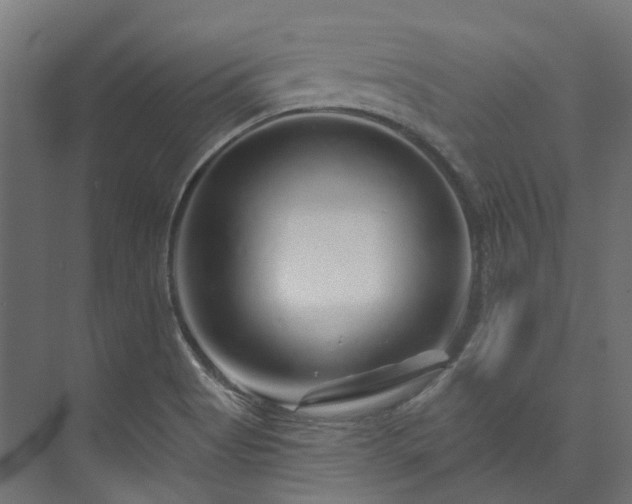 X0000073851513200608171019