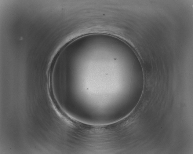 X0000073851515200608171019