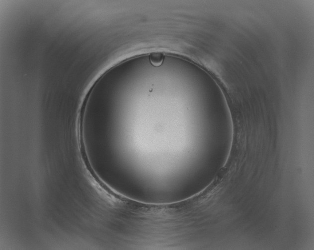 X0000073851516200608171019