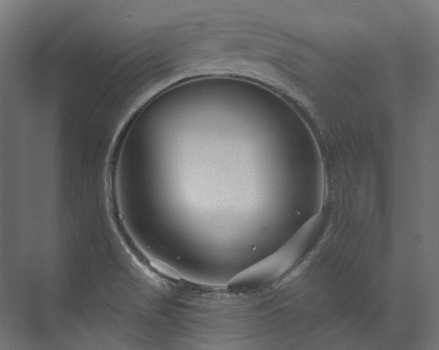 X0000073851517200608171019