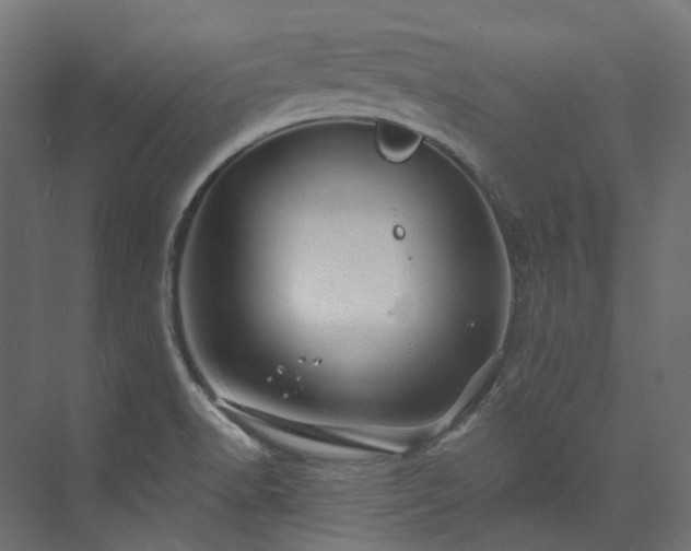 X0000073851518200608171019