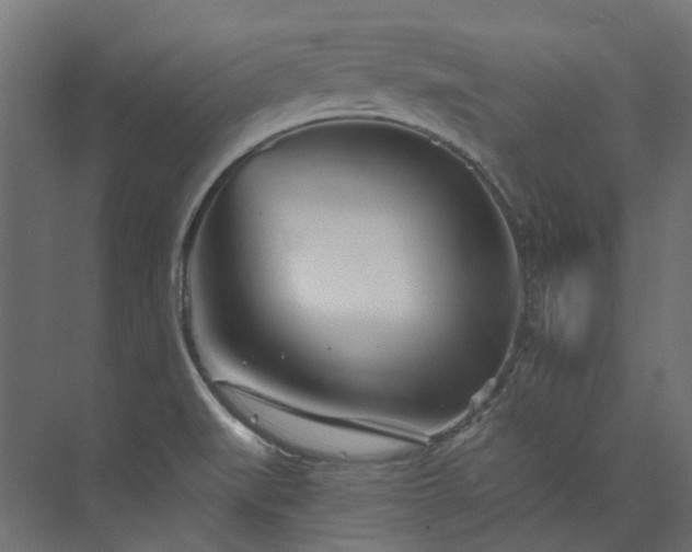 X0000073851519200608171019