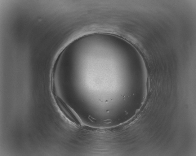 X0000073851520200608171019