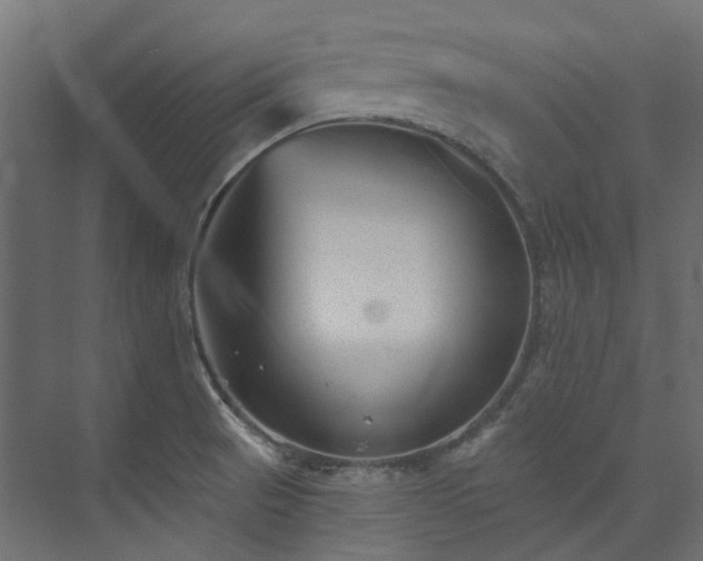 X0000073851521200608171019