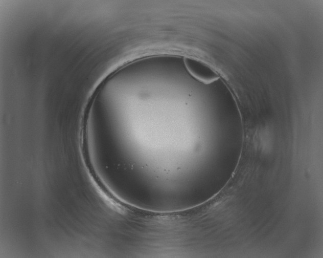 X0000073851523200608171019