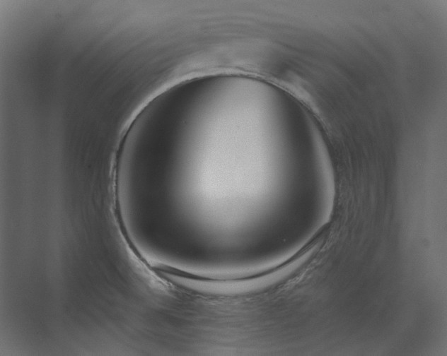 X0000073851524200608171019