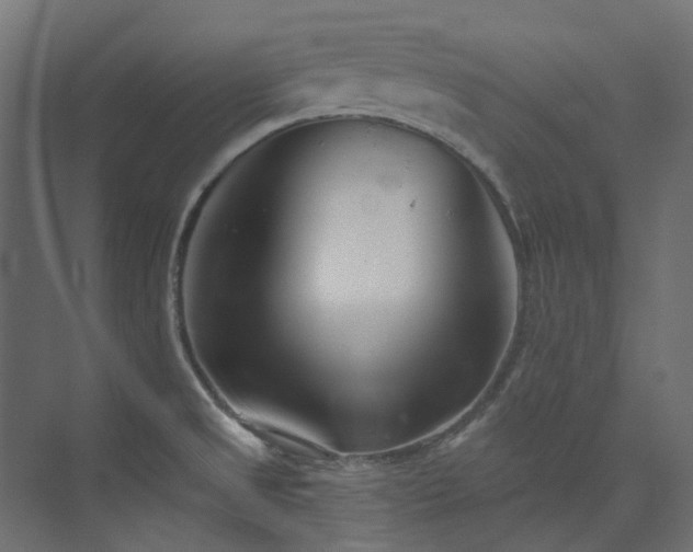 X0000073851525200608171019