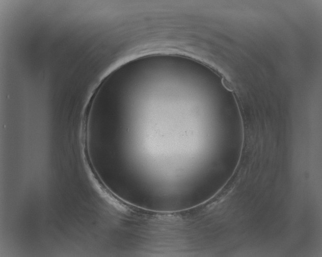 X0000073851526200608171019