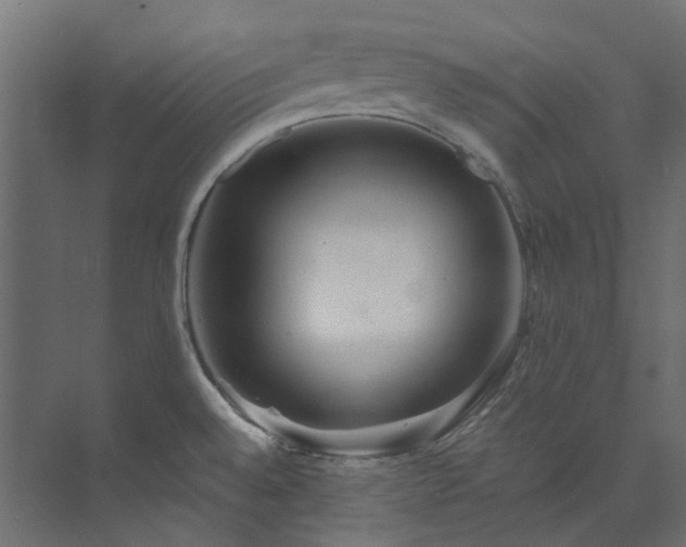 X0000073851528200608171019