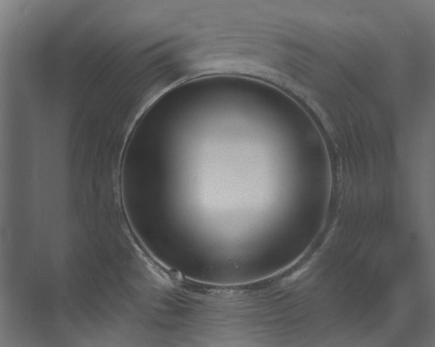 X0000073851529200608171019