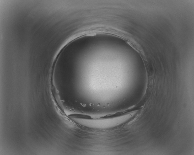 X0000073851530200608171019