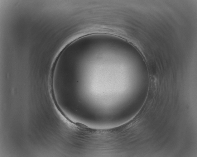 X0000073851531200608171019