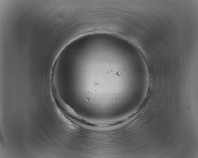 X0000073851532200608171020