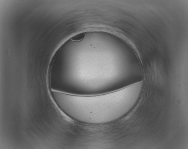 X0000073851533200608171020