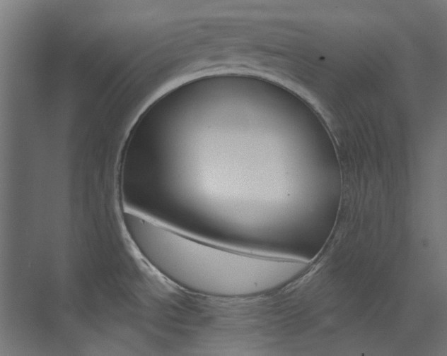 X0000073851534200608171020