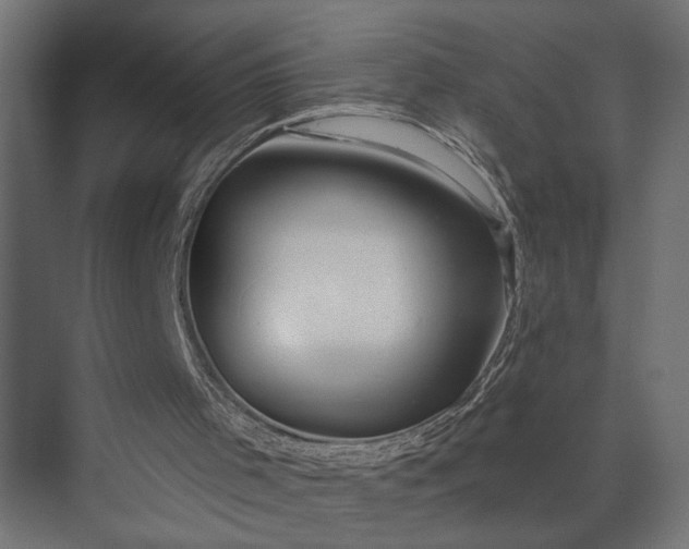 X0000073850001200608241055