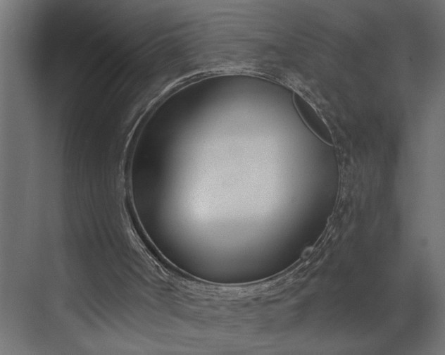 X0000073850002200608241055