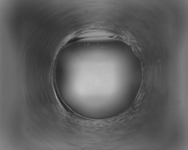 X0000073850003200608241055