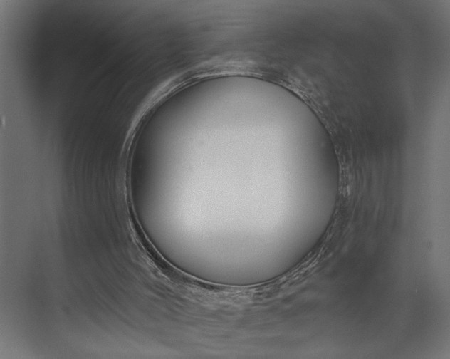 X0000073850004200608241054