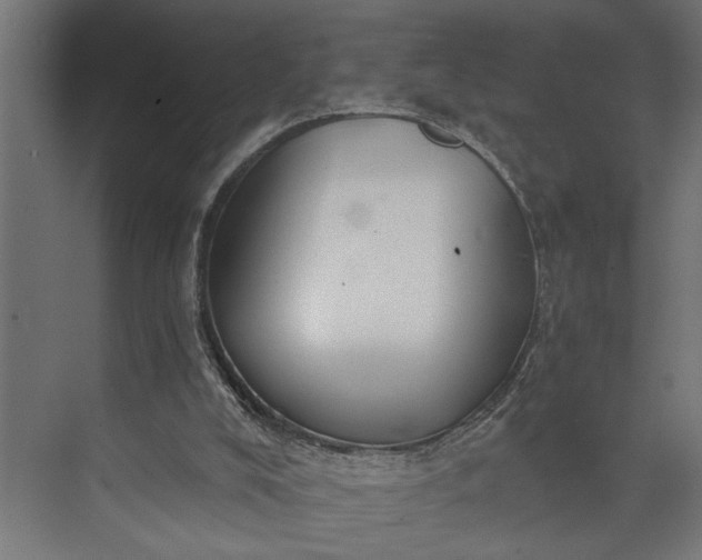 X0000073850008200608241054