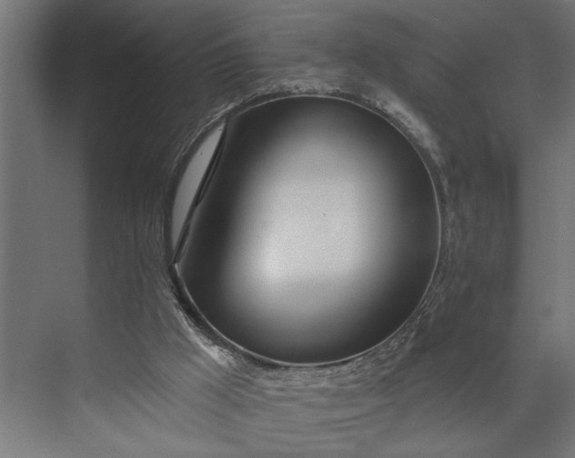 X0000073850009200608241054