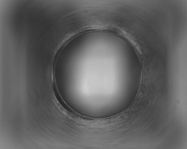 X0000073850011200608241054