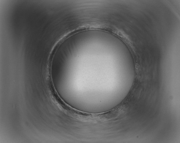 X0000073850012200608241054