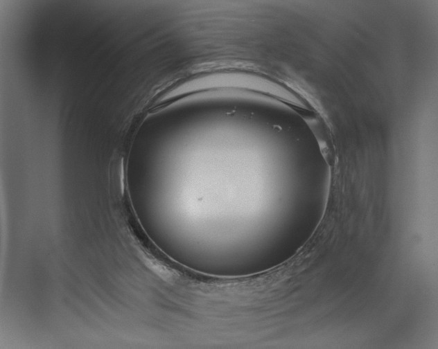 X0000073850013200608241054