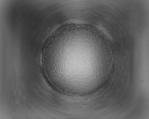 X0000073850014200608241054