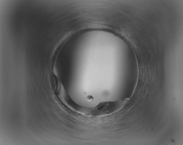 X0000073850015200608241054