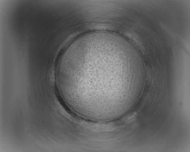 X0000073850016200608241054