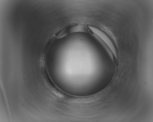 X0000073850017200608241054