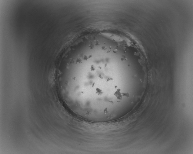 X0000073850018200608241054