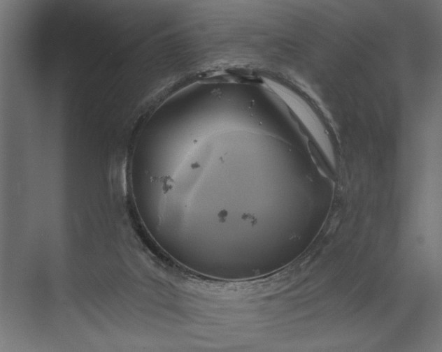 X0000073850019200608241054