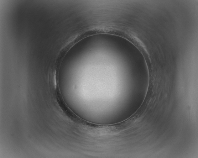 X0000073850020200608241054