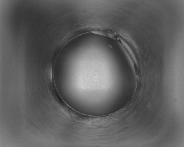 X0000073850021200608241054