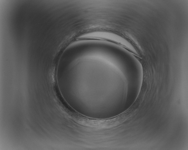 X0000073850023200608241054