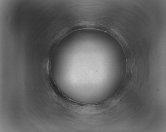 X0000073850024200608241054