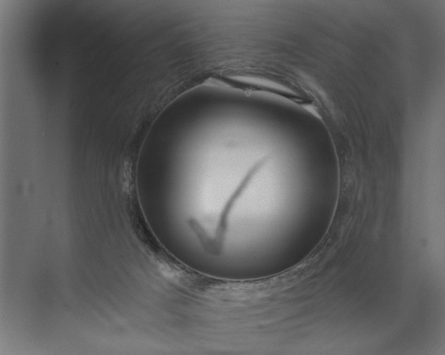 X0000073850025200608241054