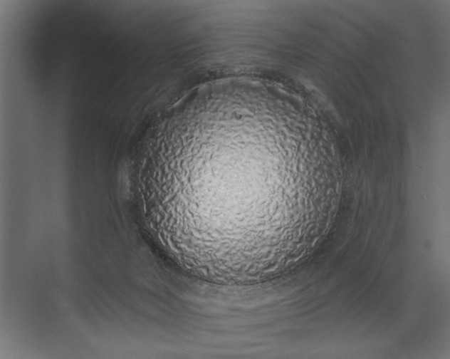 X0000073850026200608241054