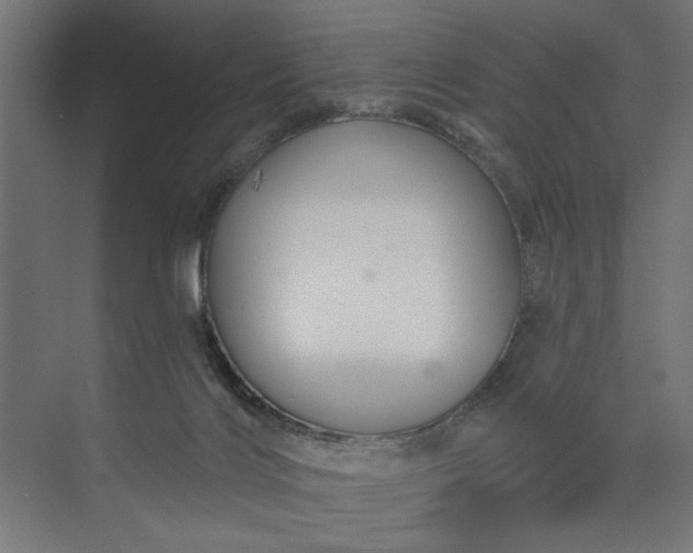 X0000073850028200608241054