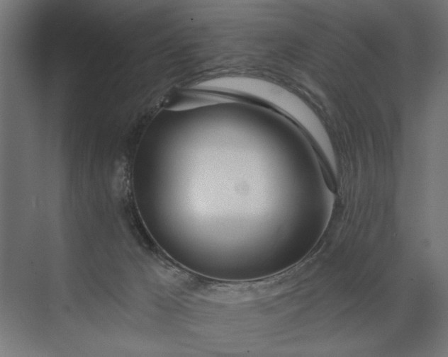 X0000073850029200608241054