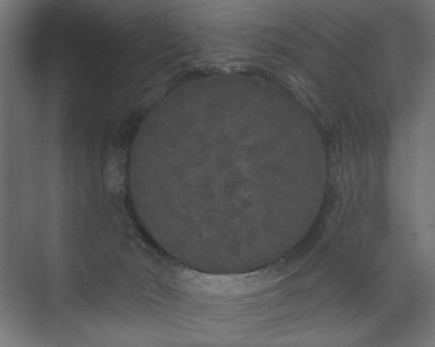 X0000073850030200608241054