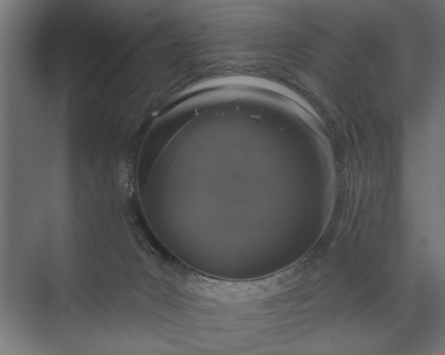 X0000073850031200608241054