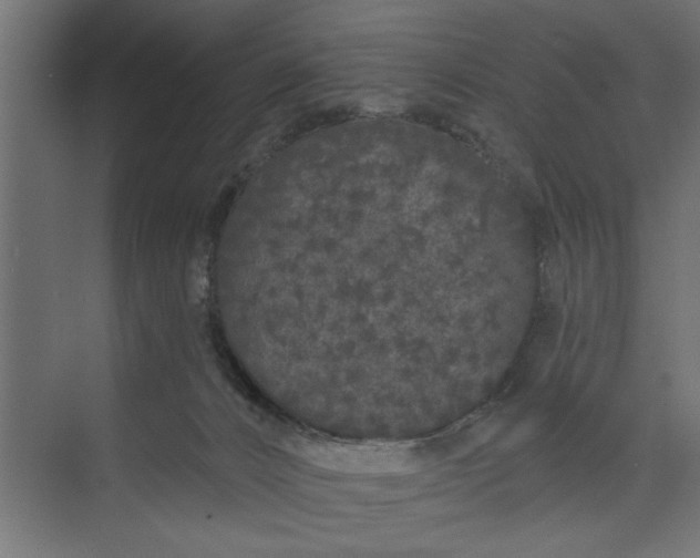 X0000073850032200608241054