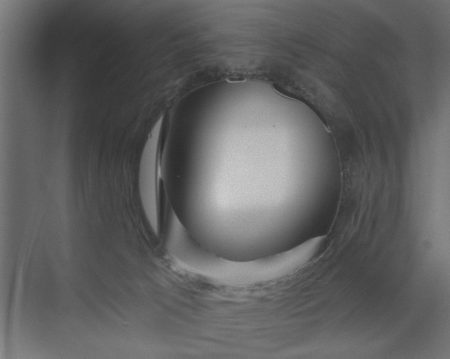 X0000073850033200608241054