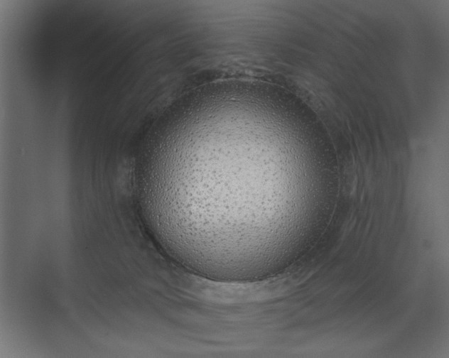 X0000073850034200608241054