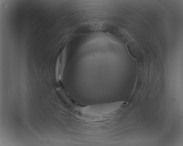 X0000073850035200608241054