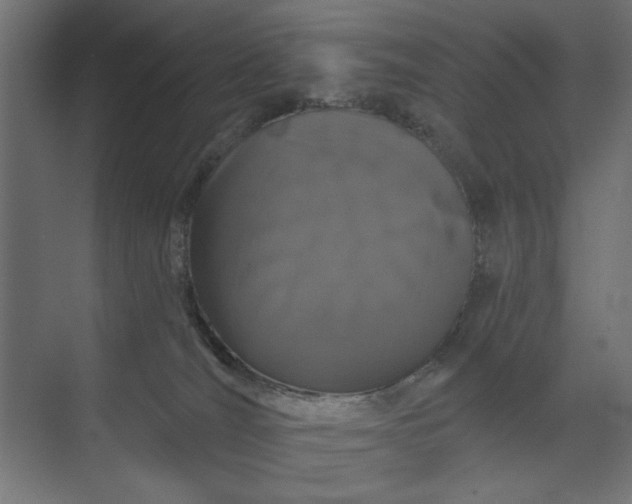 X0000073850036200608241054