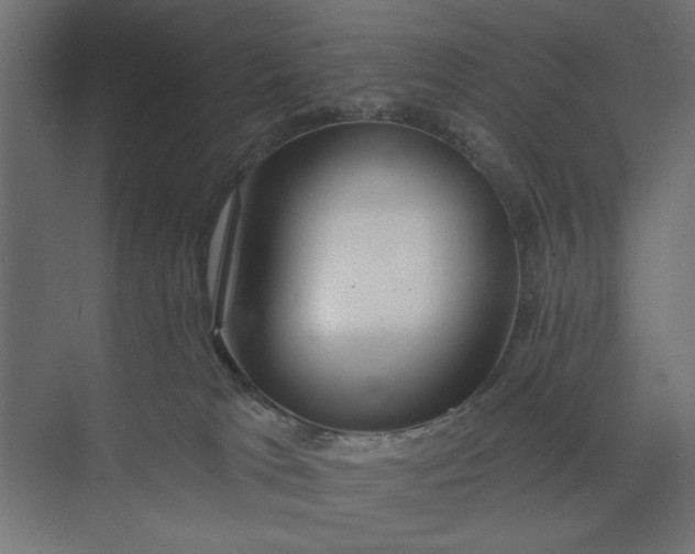 X0000073850037200608241054